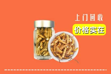 收购资讯:滁州凤阳县回收散虫草